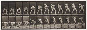 Płyta 318. Podnoszenie 75-funtowej skały, 1872-1885 autorstwa Eadweard Muybridge