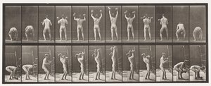 Płytka 323. Podnoszenie i opuszczanie dwóch 50-funtowych hantle autorstwa Eadweard Muybridge