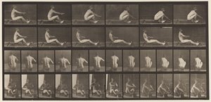 Płyta 328. Wioślarstwo autorstwa Eadweard Muybridge
