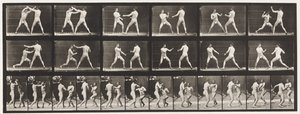 Płyta 329. Boks; (Obuwie) autorstwa Eadweard Muybridge