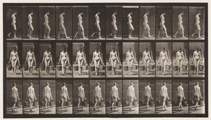 Płyta 32. Chodzenie, noszenie wiadra wody w każdej ręce autorstwa Eadweard Muybridge
