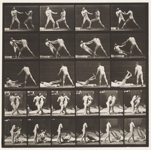 Płyta 333. Boks; 53 Powalenie 52 (Buty) autorstwa Eadweard Muybridge