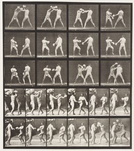 Płyta 334. Boks; Z Rękawiczkami (Buty) autorstwa Eadweard Muybridge