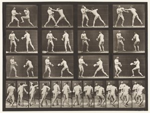 Płyta 335. Boks; Z Rękawiczkami autorstwa Eadweard Muybridge