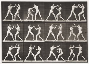 Płyta 336. Boks; Otwarta Dłoń (Buty) autorstwa Eadweard Muybridge