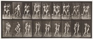 Płyta 337. Boks; Otwarta dłoń autorstwa Eadweard Muybridge
