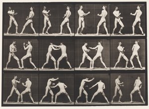 Płyta 338. Boks; Otwarta Dłoń (Buty) autorstwa Eadweard Muybridge