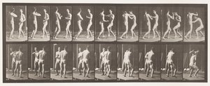 Płyta 339. Boks; Otwarta dłoń autorstwa Eadweard Muybridge