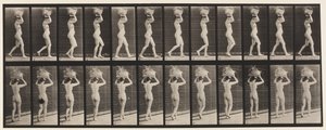 Płyta 33. Chodzenie, 14 funtów. Koszyk na głowie, z podniesionymi rękami, 1872-1885 autorstwa Eadweard Muybridge