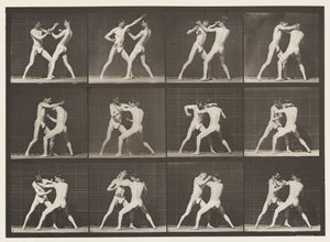 Płyta 340. Boks; Otwarta dłoń autorstwa Eadweard Muybridge