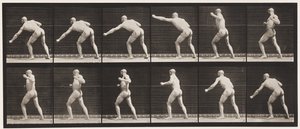 Płyta 343. Uderzenie (lewa ręka) autorstwa Eadweard Muybridge