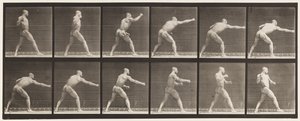 Płyta 344. Uderzenie (prawa ręka) autorstwa Eadweard Muybridge