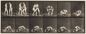 Płyta 345. Zapasy, zamek, 1885 autorstwa Eadweard Muybridge