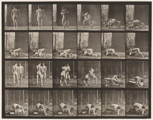 Płyta 346. Zapasy, blokada autorstwa Eadweard Muybridge