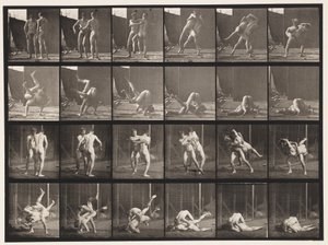 Tabliczka 348. Zapasy, grecko-rzymski, 1885 autorstwa Eadweard Muybridge