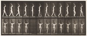 Płyta 34. Chodzenie autorstwa Eadweard Muybridge