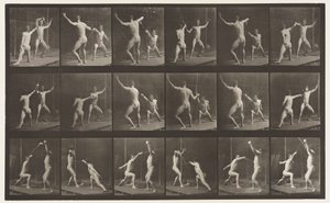 Płyta 350. Ogrodzenie autorstwa Eadweard Muybridge