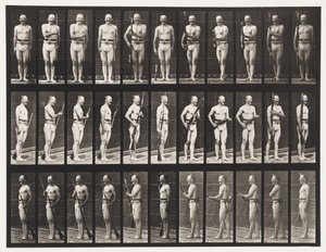 Płyta 351. Mocowanie i odkręcanie bagnetów, 1872-1885 autorstwa Eadweard Muybridge