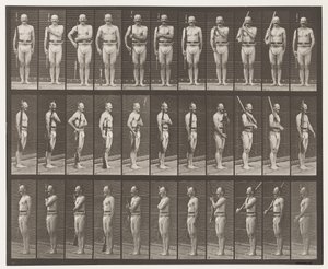 Płyta 352. Ramiona, rozkazy i ramiona do noszenia autorstwa Eadweard Muybridge