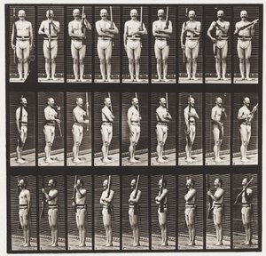 Płyta 353. Wspornik i port broni, 1872-1885 autorstwa Eadweard Muybridge