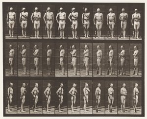 Tabliczka 354. Ramiona do noszenia, odpoczynek na paradę i ramiona do noszenia autorstwa Eadweard Muybridge