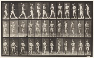 Tabliczka 355. Na straży, chodzenie i odwracanie się autorstwa Eadweard Muybridge