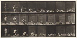 Płyta 358. Leżąc na plecach i strzelając, 1872-1885 autorstwa Eadweard Muybridge