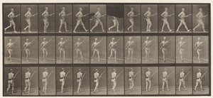 Tabliczka 359. Bagnet ładujący, 1872-1885 autorstwa Eadweard Muybridge