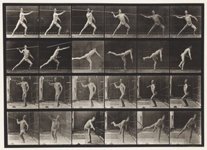 Płyta 361. Rzucanie włócznią, 1872-1885 autorstwa Eadweard Muybridge