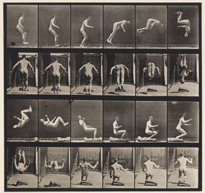 Płyta 363. Biegnąca Salto, 1885 autorstwa Eadweard Muybridge