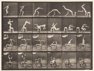 Talerz 364. Ręka-sprężyna nad plecami mężczyzny autorstwa Eadweard Muybridge