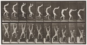 Tabliczka 368. Akrobata, schodzące schody na rękach autorstwa Eadweard Muybridge