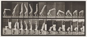 Tabliczka 371. Akrobata, wyciskanie pionowe w górę autorstwa Eadweard Muybridge