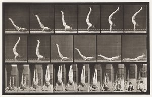 Tabliczka 372. Akrobata, wyciskanie poziome w górę autorstwa Eadweard Muybridge