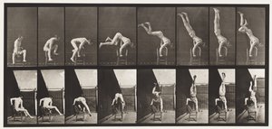 Tabliczka 373. Akrobata, wyciskanie z krzesła autorstwa Eadweard Muybridge