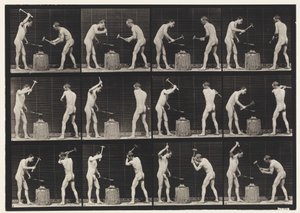 Tabliczka 374. Kowale, dwa modele, kucie w kowadle autorstwa Eadweard Muybridge