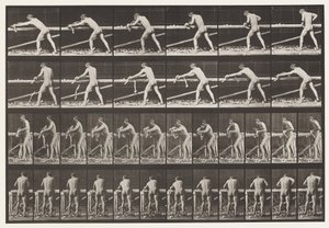 Tabliczka 379. Cieśla, Struganie deski, 1872-1885 autorstwa Eadweard Muybridge