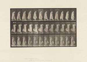 Płyta 37. Chodzenie, sukienka trzymająca lewą rękę, prawa ręka przy twarzy, 1872-1885 autorstwa Eadweard Muybridge