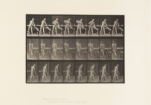 Talerz 380. Stolarz, Piłowanie, 1872-1885 autorstwa Eadweard Muybridge