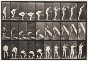 Płyta 382. Podnoszenie kłody na końcu, 1872-1885 autorstwa Eadweard Muybridge