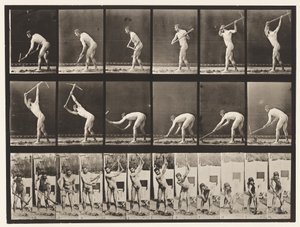 Tabliczka 385. Rolnik, używanie kilofa, 1872-1885 autorstwa Eadweard Muybridge