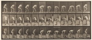 Tabliczka 388. Rolnik, używając łopaty, 1872-1885 autorstwa Eadweard Muybridge