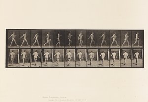 Talerz 389. Rolnik, Rozrzucanie nasion, 1872-1885 autorstwa Eadweard Muybridge