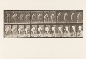 Talerz 390. Rolnik, koszenie trawy autorstwa Eadweard Muybridge