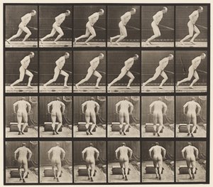 Płyta 393. Pchanie wałka ogrodowego, 1872-1885 autorstwa Eadweard Muybridge