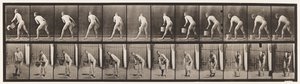 Tablica 398. Podnoszenie wiadra wody do opróżnienia, 1872-1885 autorstwa Eadweard Muybridge