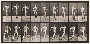 Płyta 3. Chodzenie autorstwa Eadweard Muybridge