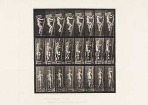 Tablica 405. Wnoszenie cegieł po drabinie, 1872-1885 autorstwa Eadweard Muybridge