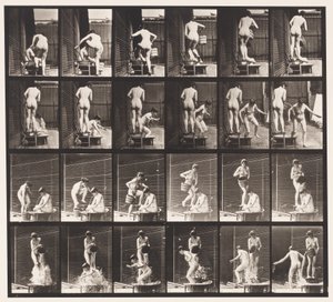 Tabliczka 407. Dwa modele, 8 wiader do nalewania wody powyżej 1 autorstwa Eadweard Muybridge