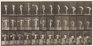 Płyta 414. Wycieranie ciała ręcznikiem autorstwa Eadweard Muybridge